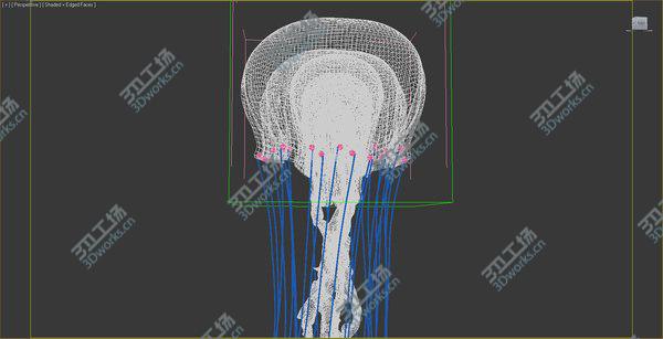 images/goods_img/20210312/jellyfish ANIMATED/2.jpg
